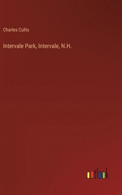 bokomslag Intervale Park, Intervale, N.H.