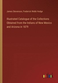 bokomslag Illustrated Catalogue of the Collections Obtained from the Indians of New Mexico and Arizona in 1879