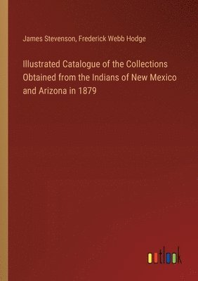 bokomslag Illustrated Catalogue of the Collections Obtained from the Indians of New Mexico and Arizona in 1879