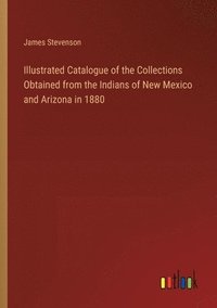 bokomslag Illustrated Catalogue of the Collections Obtained from the Indians of New Mexico and Arizona in 1880