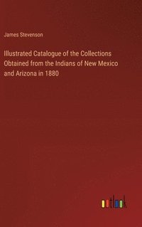 bokomslag Illustrated Catalogue of the Collections Obtained from the Indians of New Mexico and Arizona in 1880