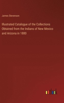 bokomslag Illustrated Catalogue of the Collections Obtained from the Indians of New Mexico and Arizona in 1880