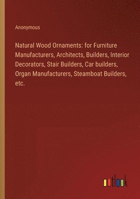 bokomslag Natural Wood Ornaments