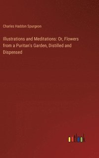 bokomslag Illustrations and Meditations