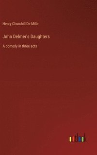 bokomslag John Delmer's Daughters