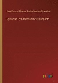 bokomslag Dylanwad Cymdeithasol Cristionogaeth