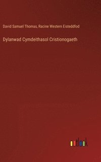 bokomslag Dylanwad Cymdeithasol Cristionogaeth