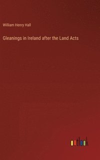 bokomslag Gleanings in Ireland after the Land Acts