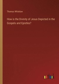 bokomslag How is the Divinity of Jesus Depicted in the Gospels and Epistles?