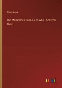 bokomslag The Motherless Bairns, and who Sheltered Them