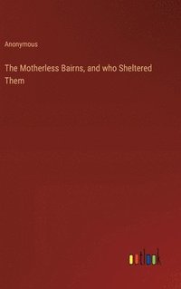 bokomslag The Motherless Bairns, and who Sheltered Them