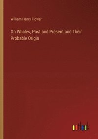 bokomslag On Whales, Past and Present and Their Probable Origin