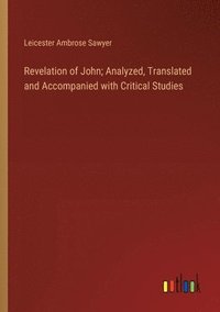 bokomslag Revelation of John; Analyzed, Translated and Accompanied with Critical Studies