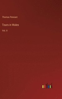 bokomslag Tours in Wales