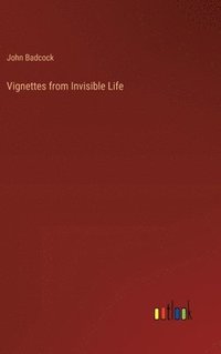 bokomslag Vignettes from Invisible Life