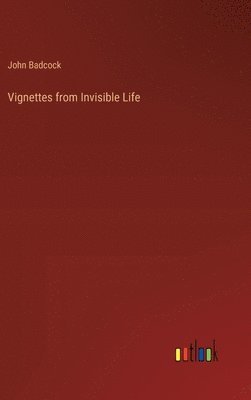 bokomslag Vignettes from Invisible Life