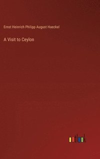 bokomslag A Visit to Ceylon