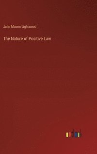 bokomslag The Nature of Positive Law