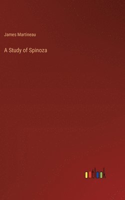 bokomslag Study of Spinoza