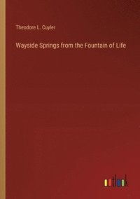 bokomslag Wayside Springs from the Fountain of Life
