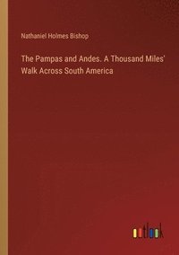 bokomslag The Pampas and Andes. A Thousand Miles' Walk Across South America