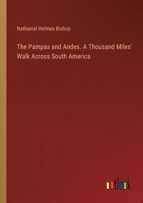 bokomslag The Pampas and Andes. A Thousand Miles' Walk Across South America