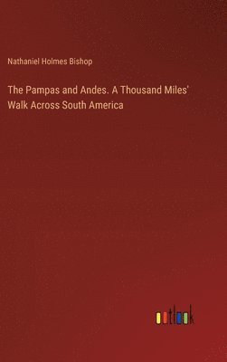 bokomslag The Pampas and Andes. A Thousand Miles' Walk Across South America