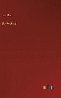 bokomslag Sky Rockets