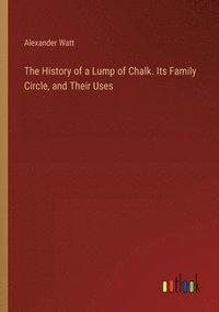 bokomslag The History of a Lump of Chalk. Its Family Circle, and Their Uses