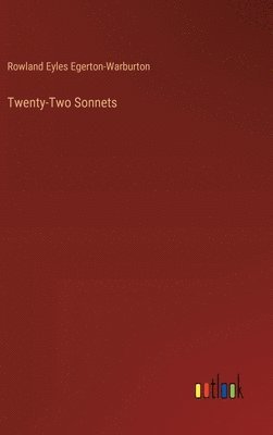 bokomslag Twenty-Two Sonnets