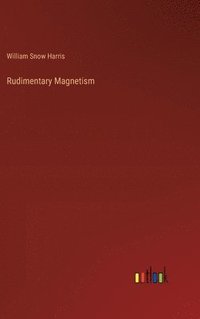 bokomslag Rudimentary Magnetism