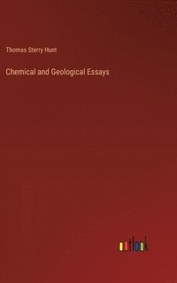 bokomslag Chemical and Geological Essays