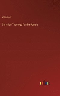 bokomslag Christian Theology for the People