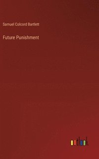 bokomslag Future Punishment