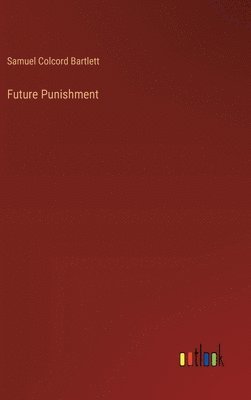 bokomslag Future Punishment