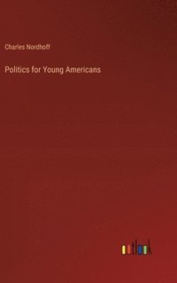 bokomslag Politics for Young Americans