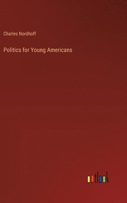 bokomslag Politics for Young Americans