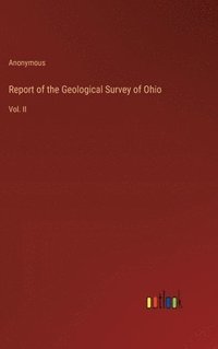 bokomslag Report of the Geological Survey of Ohio