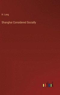 bokomslag Shanghai Considered Socially