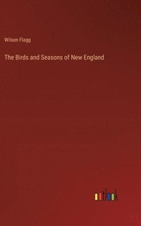 bokomslag Birds and Seasons of New England