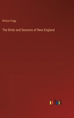 bokomslag Birds and Seasons of New England