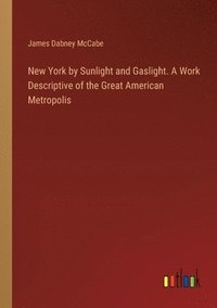 bokomslag New York by Sunlight and Gaslight. A Work Descriptive of the Great American Metropolis