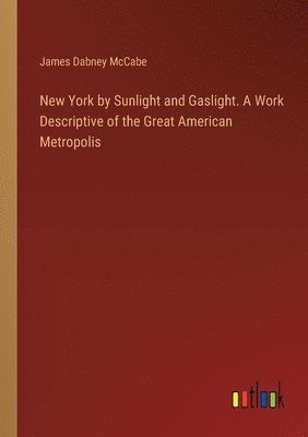 New York by Sunlight and Gaslight. A Work Descriptive of the Great American Metropolis 1