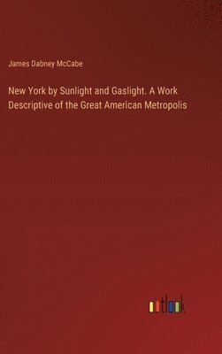 bokomslag New York by Sunlight and Gaslight. A Work Descriptive of the Great American Metropolis