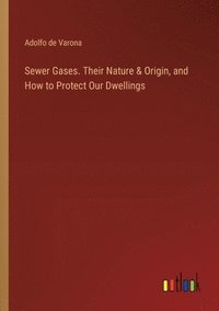 bokomslag Sewer Gases. Their Nature & Origin, and How to Protect Our Dwellings