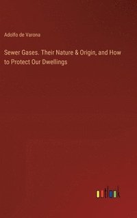 bokomslag Sewer Gases. Their Nature & Origin, and How to Protect Our Dwellings