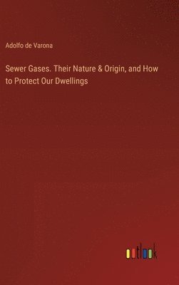 bokomslag Sewer Gases. Their Nature & Origin, and How to Protect Our Dwellings