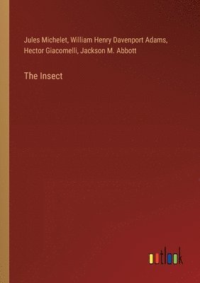 The Insect 1