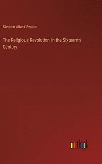 bokomslag Religious Revolution in the Sixteenth Century