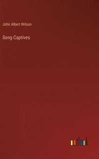 bokomslag Song Captives